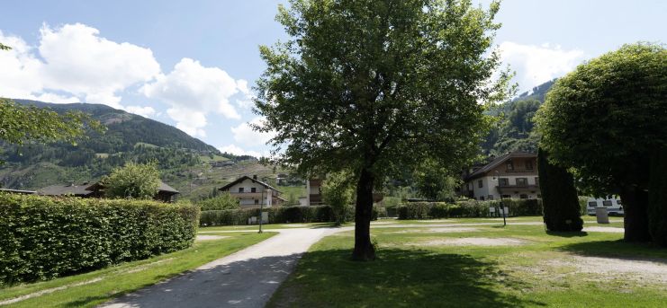 Areal Stellplätze für Camper mit Bäumen