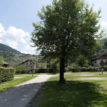 Areal Stellplätze für Camper mit Bäumen