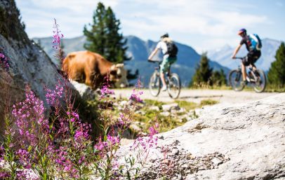 Mountainbiker auf der Panoramatour Zell-Gerlos